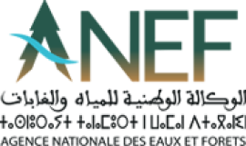 Logo ANEF